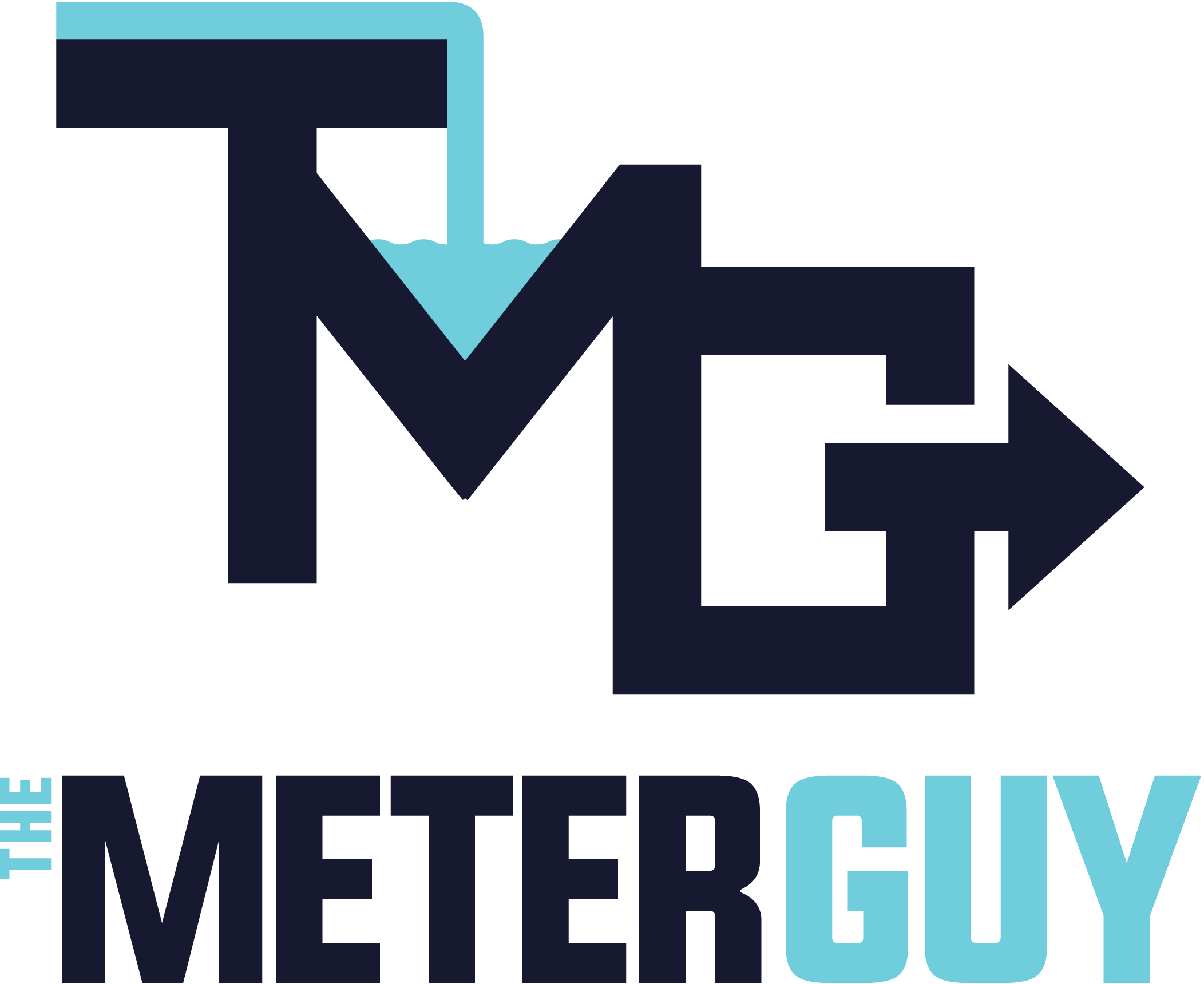The Meter Guy, LLC